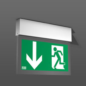 Illuminazione di emergenza da soffitto - LED HALYXX® - RZB - rettangolare / LED / in alluminio estruso