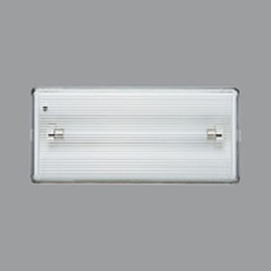 Illuminazione di emergenza ad incasso - SPACE - RZB - rettangolare / a lampada fluorescente / in plastica