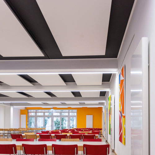 Luce a sospensione - STRONG 55 - Schmitz-Wila GmbH - da incasso a soffitto / LED / lineare