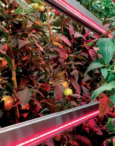 Luce ecologica - Disano Illuminazione - sospesa / ad incasso / LED