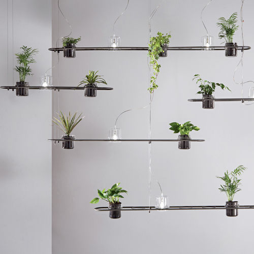 Lampada a sospensione - PLANTICUS - Siru Lighting - in ferro / design organico / con cavo