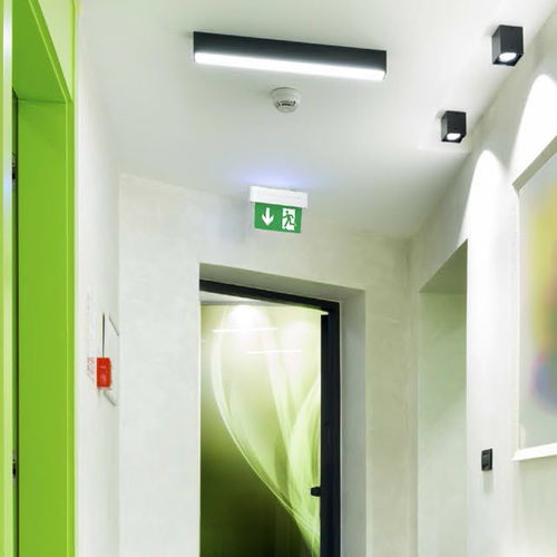 Illuminazione di emergenza da soffitto - POXAR SN-F - LENA LIGHTING - a muro / rettangolare / LED