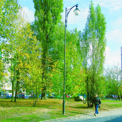 Lampione urbano - ST3X/268 - F.P.H. Art Metal Sp.J. - classico / in ghisa di alluminio / in acciaio