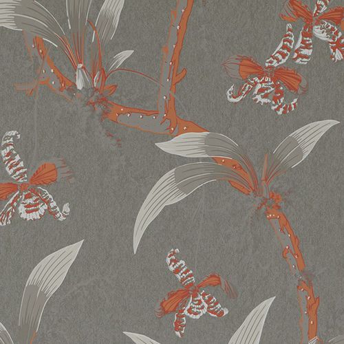 Carta da parati contemporanea - TEMPLE OF DAWN : MANDARIN ORCHIDS - JIM THOMPSON - con motivi floreali / aspetto tessuto / grigia
