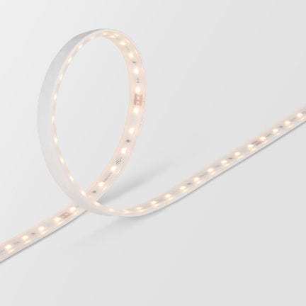 Striscia flessibile a LED - FTS5 40K-24V - Feelux