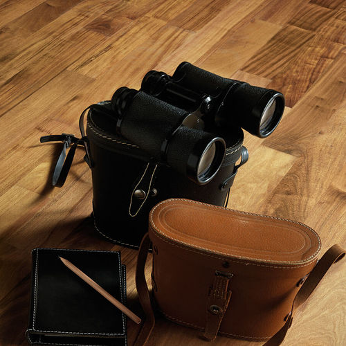 Parquet massello - PREMASS : OIL - ALI - in legno / oliato / da incollare