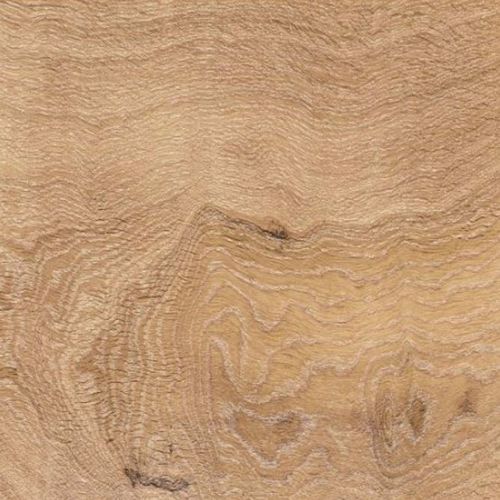 Pavimento laminato in rovere - TRANSIT: QUERCIA ARTICA - GAZZOTTI spa - aspetto legno / per uso domestico / per il settore terziario