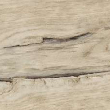 Parquet multistrato - LIFE: QUERCIA RENOIR - GAZZOTTI spa - in rovere / oliato / da incollare