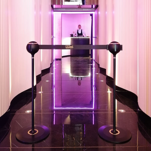Colonnina con nastro con nastro estensibile - "SOFIA" TENDIFLEX&reg; SPHERE - Flex