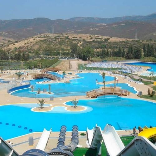 Piscina curva - ADULT LAGOONS - TECNOPISCINE INTERNATIONAL - da esterno / per parco acquatico / interrata