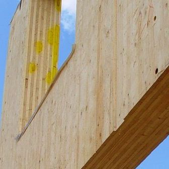 Software di progettazione - CLT - DIETRICH'S AG - di calcolo / per struttura in legno / da soffitto