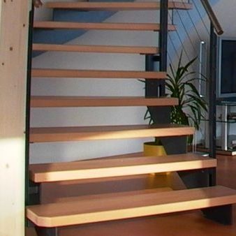 Software di progettazione - DIETRICH'S AG - per struttura in legno / per scala / 3D