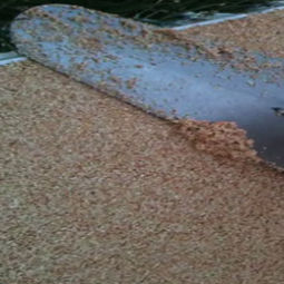 Pavimento in resina - DEGA®CARPET - GOBBETTO - sintetico / per esterni / per il settore terziario
