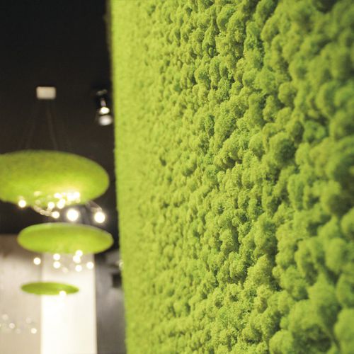 Parete vegetale da interno - LICHEN - ADRIANI E ROSSI EDIZIONI
