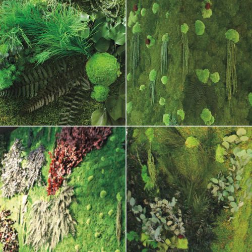 Parete vegetale da interno - MOSS WITH LEAVES - ADRIANI E ROSSI EDIZIONI
