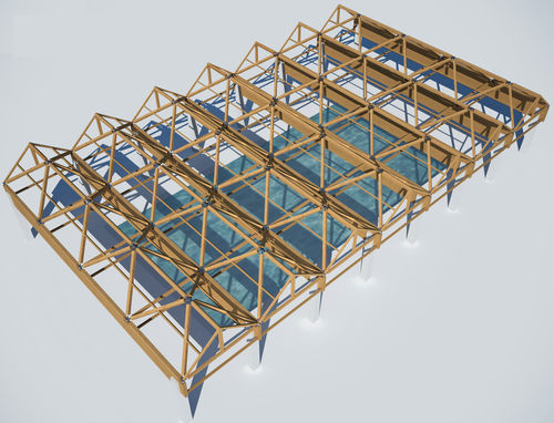 Ossatura in legno lamellare - SPACEWOOD - WOOD SYSTEM INTERNATIONAL SRL - per piscina pubblica