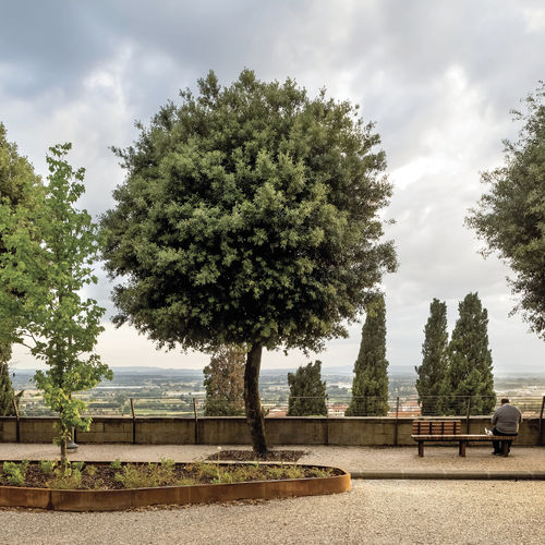 Bordura con panchina integrata - GRANDIFIORIERE - METALCO - da giardino / per allestimenti paesaggistici / in legno
