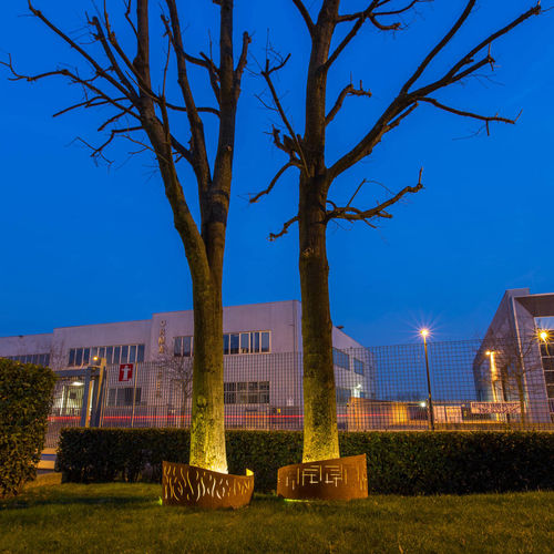 Griglia di protezione per alberi in acciaio - ABBRACCIO DECOR - LAB23
