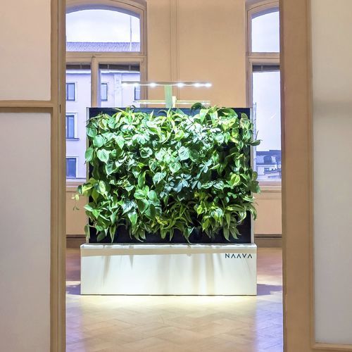 Parete vegetale di piante viventi - NAAVA - Teknion - su misura / naturale / da interno