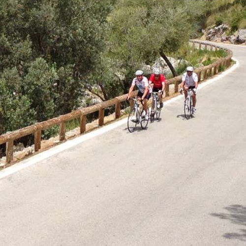 Barriera stradale in legno - G4M+ & G2M+  - Rondino - in acciaio galvanizzato / per strada