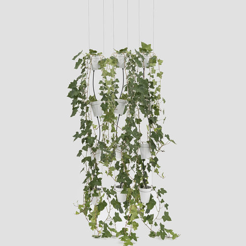 Supporto per fioriere sospese - WINDOW GARDEN PENDANT - Danese