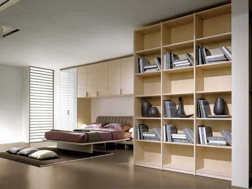 Armadio contemporaneo - SPAZIANTE - 1 - Faer Ambienti - in legno / con ante battenti / con libreria