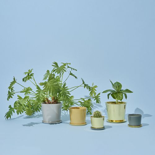 Vaso da giardino in ceramica - BOTANICAL FAMILY - Hay a/s - in ottone / da appoggio / rotondo