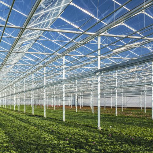 Pannello in vetro di sicurezza - HORTICLEAN&trade; - PILKINGTON - strutturale / laminato / temprato