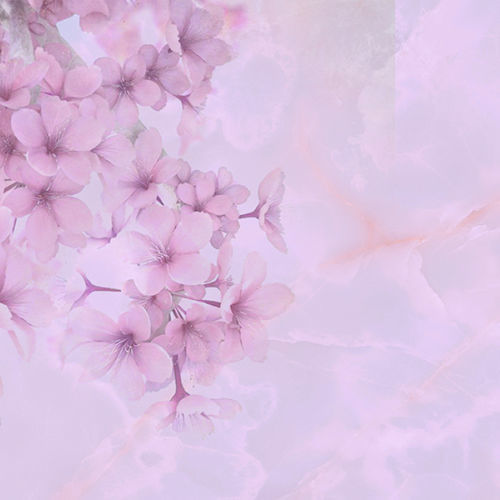 Carta da parati contemporanea - BLOOM - Tonin Casa - con motivi floreali / rosa / per soggiorno