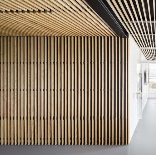 Pannello acustico per controsoffitto - LINEA 2.4.5 - LAUDESCHER - in abete / in legno massiccio / in rovere
