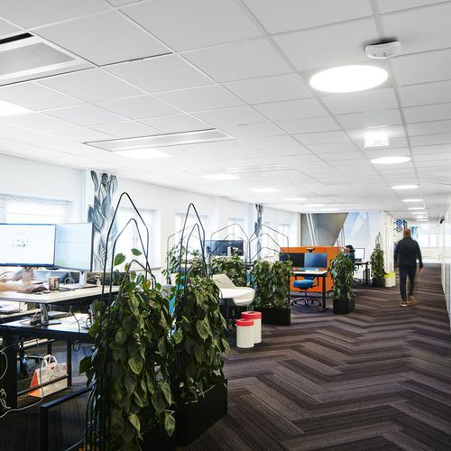 Controsoffitto in lana di vetro - FOCUS™ A - Saint-Gobain Ecophon - a quadrotte / per ufficio / da interno