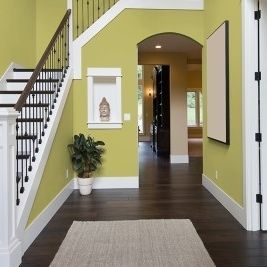Pittura decorativa - MOTHERLAND  - California Paints - indoor / per muro / verde