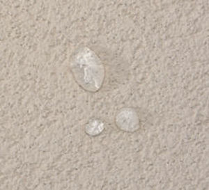 Pittura di tenuta - HDP™ FINISHES - Dryvit - per muro