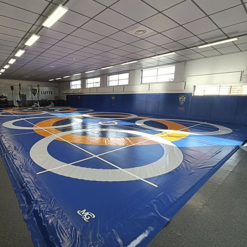 Tappeto da lotta - LUT-BA.1 - Modugame - MG Sport