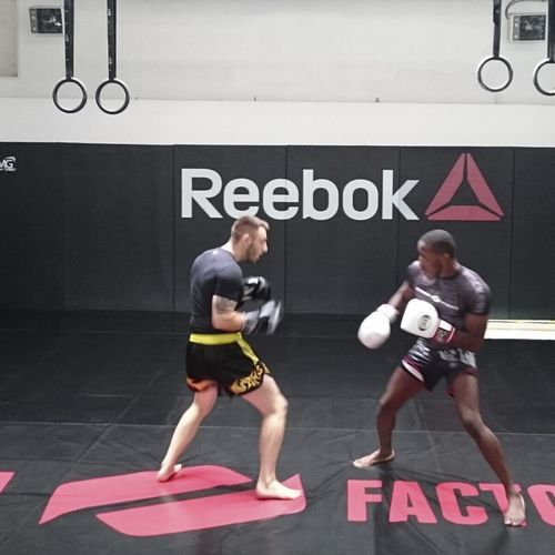 Tappeto da lotta - MMA series - Modugame - MG Sport
