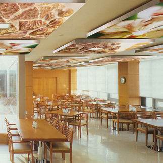 Controsoffitto in tessuto - THE ORANGE SALT OF EARTH - tela-design - ad isola / acustico / ignifugo