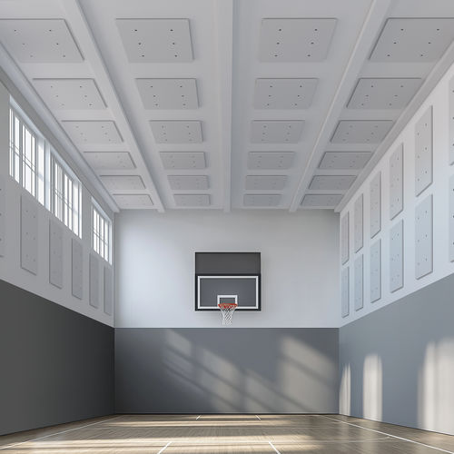 Pannello fonoassorbente per soffitto - INDUSTRIAL GYM - Caimi Brevetti SpA - in poliestere / rettangolare / per interni