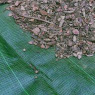 Telo pacciamante anti-UV - GREEN - Flexirub