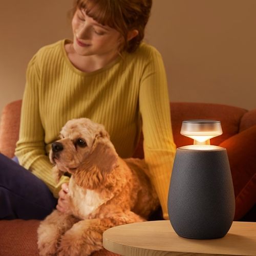 Altoparlante multimediale - XBOOM 360 XO2 - LG Electronics - Bluetooth / senza fili / omnidirezionale