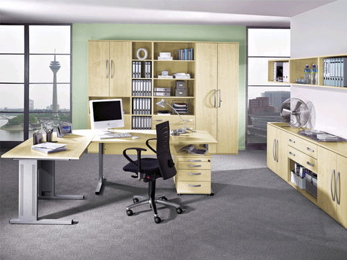 Scrivania direzionale - TECHNO SPEED - RÖHR-Bush - contemporanea / in legno / in metallo