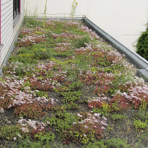 Membrana impermeabilizzante di protezione - ROOFGARDEN - IKO - di consolidamento / antiforatura / antiradice