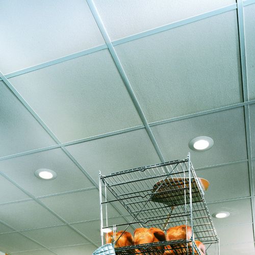 Controsoffitto in vinile - SHEETROCK® BRAND - USG - a base gesso / a quadrotte / in pannelli