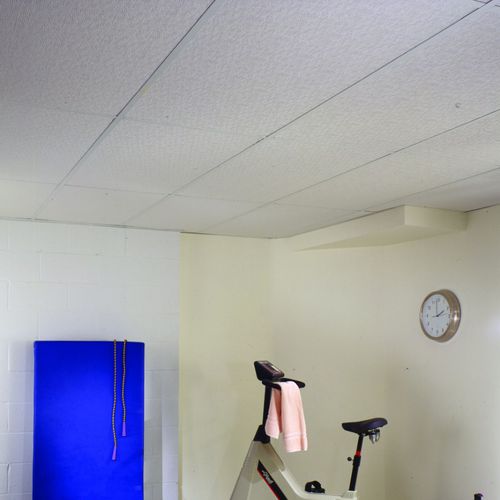 Pannello acustico per soffitto - CHAMBRAY™ - USG - in vinile / in fibra di vetro / quadrato
