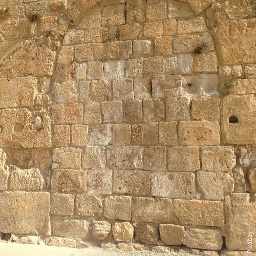 Lastra in pietra in pietra calcarea - EILAT – JERUSALEM - CREA STONE - per pavimento / per muro / spazzolata