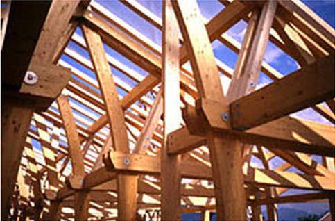 Software di analisi strutturale - HSBGLULAM - hsbSOFT - per struttura in legno / 2D