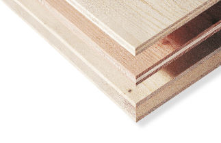 Pannello strutturale in legno lamellare - K1 MULTIPLAN - Mayr-Melnhof Holz - per tetti / per muro portante / per muro