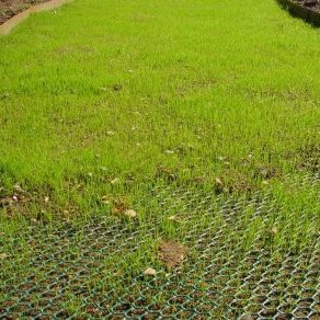 Geogriglia di consolidamento - TURFPROTECTA - TERRAM