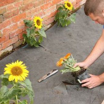 Geotessile non-tessuto - WEEDGUARD - TERRAM - in plastica / in plastica / per filtrazione