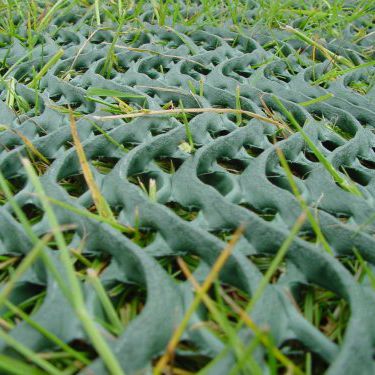 Geogriglia tridimensionale - GRASSPROTECTA - TERRAM