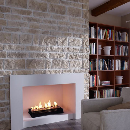 Inserto per camini a bioetanolo - ASCOT LUX - Decoflame